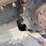 2021-takeuchi-tl8r2-image-9
