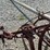 horse-drawn-planter-image-8