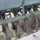 john-deere-model-b-planter-image-25
