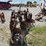 3-bottom-trip-plow-image-4