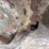 2017-takeuchi-tl12r2-image-14