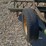 john-deere-12-image-16