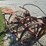 horse-drawn-planter-image-14