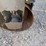 wacker-neuson-rd12a-image-7