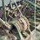john-deere-model-b-planter-image-10