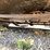 #4307-•-skid-pro-72"-skid-steer-mount-heavy-duty-brush-mower-image-20