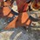 case-four-bottom-plow-image-13