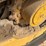 2022-caterpillar-259d3-image-6