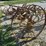 horse-drawn-cultivator-image-12