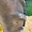 1954-john-deere-70-image-12