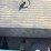 miller-bobcat-250-907211-welder/generator-image-9