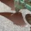 oliver-3-bottom-plow-image-17