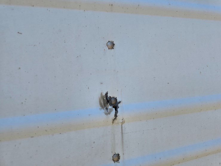 2012-great-dane-53-image-73