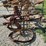 horse-drawn-planter-image-4