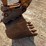 2016-case-580sn-image-11