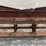 ihc-#5-stalk-cutter-image-18