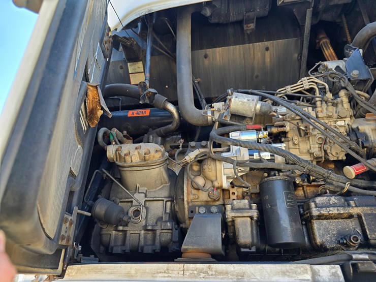 2012-great-dane-53-image-55