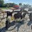 2-bottom-trip-plow-image-3