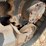 2019-takeuchi-tl8-image-7