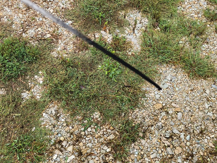 1999-international-9400-image-62