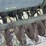 john-deere-model-b-planter-image-26