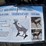 new-sklp-co-steel-deer-target-model-sk-st550l-image-2