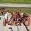 2-bottom-trip-plow-image-22