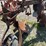 3-bottom-trip-plow-image-22