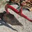 single-bottom-fast-hitch-plow-image-3