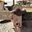 john-deere-4-bottom-pull-type-plow-image-29