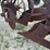 international-2-bottom-plow-image-30