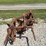 3-bottom-fast-hitch-plow-image-9