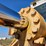 liebherr-lr631c-image-73