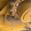 2022-caterpillar-249d3-image-5