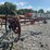 international-hay-tedder-image-5