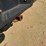 2015-ford-f250-xl-image-9