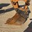 2016-case-580sn-image-8