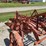 2-bottom-trip-plow-image-19