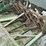 john-deere-model-b-planter-image-14