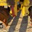 bomag-bmp8500-image-5