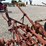 2-bottom-trip-plow-image-11