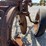 3-bottom-trip-plow-image-18