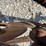 3-bottom-trip-plow-image-16