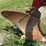 2-bottom-fast-hitch-plow-image-9