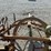 horse-drawn-cultivator-image-10