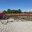 international-hay-tedder-image-1