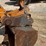 2016-case-580sn-image-9