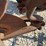 3-bottom-trip-plow-image-15