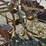 horse-drawn-cultivator-image-9