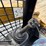 2019-caterpillar-289d-image-10